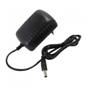 Chargeur secteur 12V de rechange pour IZYWATT 150