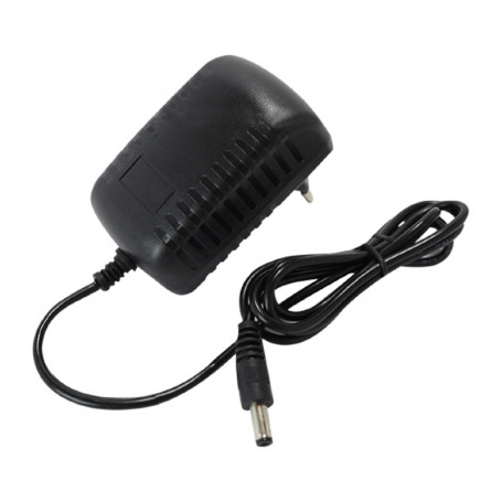 Chargeur secteur 12V de rechange pour IZYWATT 150